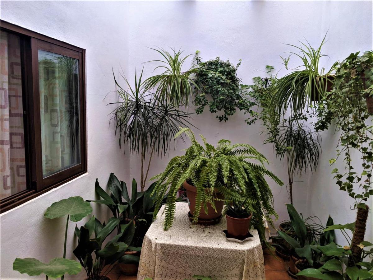 Hostal Moraima Капилейра Екстериор снимка